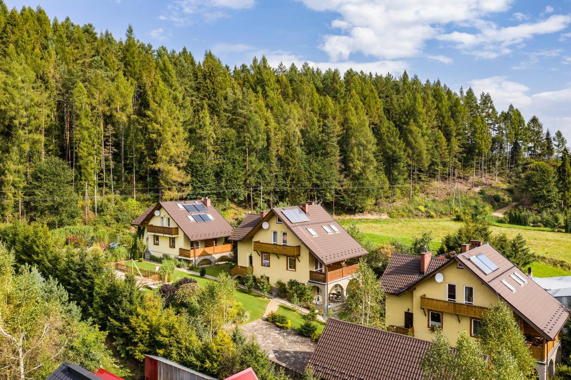 Apartment Zielona Owieczka Niedzica Zamek