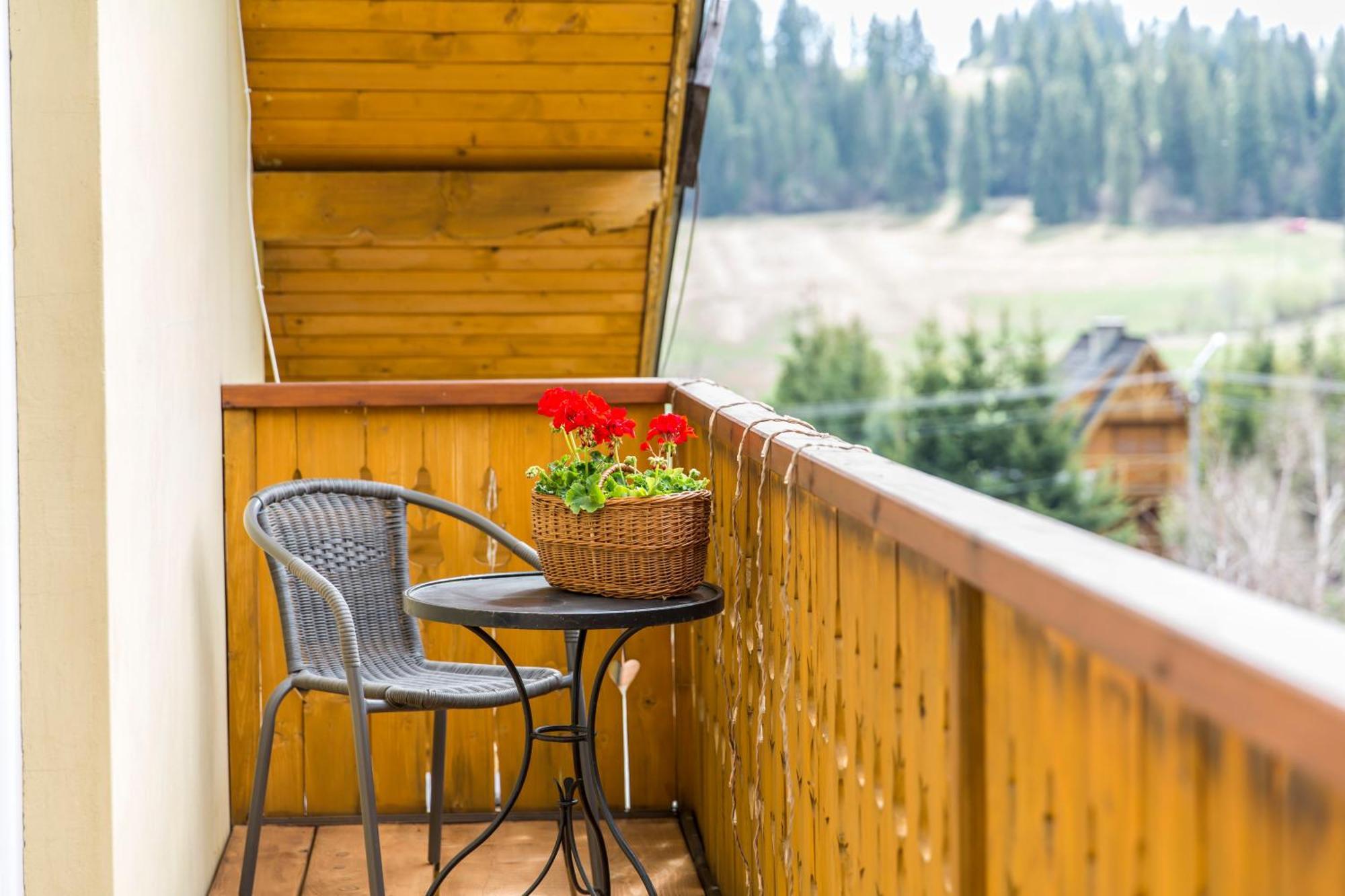 Apartment Zielona Owieczka